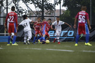 星空娱乐棋牌官网-中国足球青训成果展示会在多地举办,中国足球青训比赛 第1张 星空娱乐棋牌官网-中国足球青训成果展示会在多地举办,中国足球青训比赛 第1张